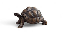 Turtle Statue Life Size - Realistic Museum Quality Indoors and Outdoors