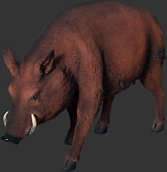 Wild Boar Life Size Replica Statue 4FT