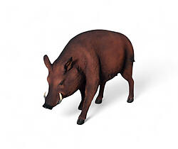 Wild Boar Life Size Replica Statue 4FT