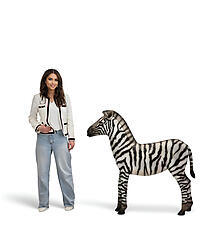 Zebra Foal Statue Life Size