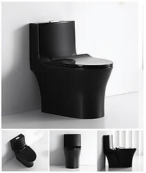 Matte Black Toilet Modern One Piece Dual Flush - Verona