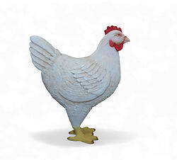 Chicken Statue Large Sculpture 30