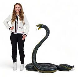 King Cobra Snake Life Size Statue