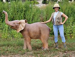 Elephant Standing Statue Life Size