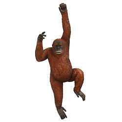 Orangutan Life Size Statue Hanging 8FT