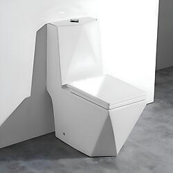 Maccione Modern Toilet One Piece Dual Flush