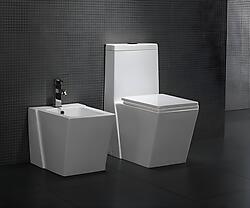 Medio Modern Bathroom Toilet One Piece Dual Flush