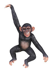 Hanging Monkey Life Size Statue