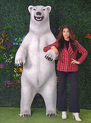 Large Polar Bear Standing Statue