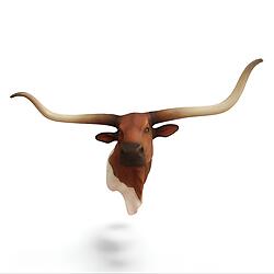 Texas Longhorn Bull Head Wall Mount