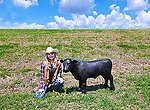Black Angus Bull Calf Statue Life Size 4FT - Museum Quality