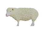 Sheep Statue Life Size 50