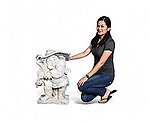 Jester Statue - with Violin