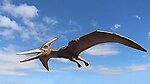 Pterodactyl Flying Life Size Statue Hanging 6 FT