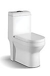 Acerra Modern Bathroom Toilet One Piece Dual Flush