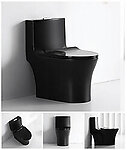 Gloss Black Toilet Modern One Piece Dual Flush - Verona
