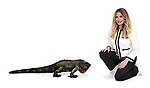 Iguana Large Sculpture Real Size 4FT