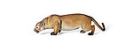 Cougar Life Size Statue