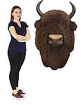 Buffalo Head Wall Mount Life Size Huge