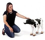 Calf Life Size Statue