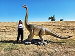 Brachiosaurus Dinosaur Statue Life Size Twisted Neck 12 FT