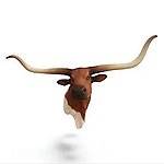 Texas Longhorn Bull Head Wall Mount