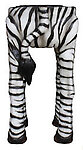 Zebra Stool Rainforest Bar Stool