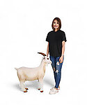 Wild Goat Statue Life Size