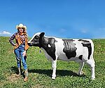 Cow Statue Life Size Holstein Black and White With Bell