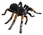 Small Spider Tarantula Statue