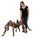 Large Spider 'Brown Recluse Statue