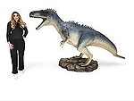 Allosaurus Dinosaur Life Size Statue 11.2 FT