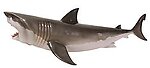 Great White Shark Statue Hanging Life Size 6FT