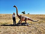 Brachiosaurus Dinosaur Statue Life Size 12 FT