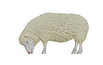 Sheep Grazing Statue Life Size 45