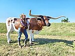 Texas Longhorn Bull Life Size Statue 10 FT