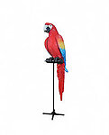 Parrot Red Macaw 6FT large with Metal Stand
