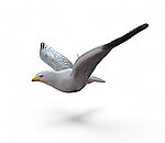 Seagull Flying Life Size Statue Hanging