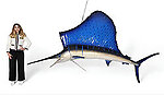 Sailfish Sculpture Hanging 11 FT Museum Quality