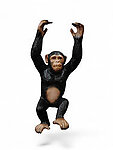 Hanging Monkey Life Size State Hands Up