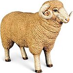Merino Ram - Small