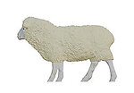 Sheep Statue Life Size 43