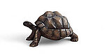 Turtle Statue Life Size - Realistic Museum Quality Indoors and Outdoors