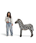 Zebra Foal Statue Life Size