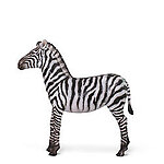 Zebra Foal Statue Life Size