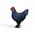 Chicken Statue Large Sculpture 30