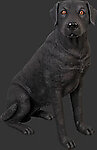 Dog Statue- Labrador - Sitting