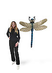 Dragonfly Sculpture Extra Large 4 FT Wall Mount