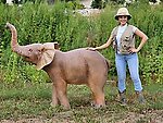 Elephant Standing Statue Life Size