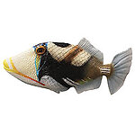 Triggerfish Tropical Fish Statue Hanging 3FT
